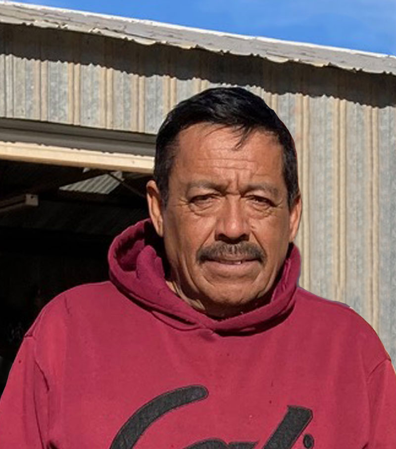 LUIS